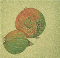 藏品(日常採集-蕃瓜)的圖片