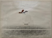 藏品(靜羽)的圖片