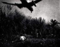 藏品(生－月光)的圖片