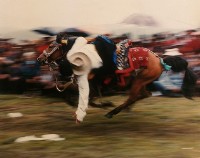 藏品(衝)的圖片