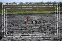 藏品(地表繁衍--五德潮間帶)的圖片