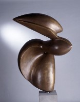 藏品(飛行的種子)的圖片