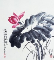 藏品(荷花)的圖片