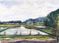 藏品(田野)的圖片