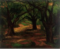 藏品(裸林(小坪頂))的圖片