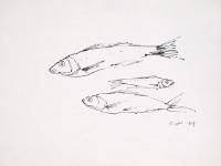 藏品(魚(五))的圖片