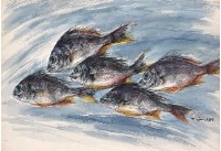 藏品(魚(六))的圖片