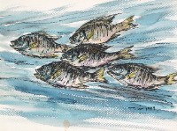 藏品(魚(七))的圖片