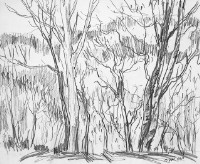 藏品(日本那須高原(一))的圖片