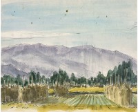 藏品(日本山形縣)的圖片