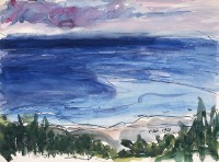 藏品(台東海岸(太麻里))的圖片