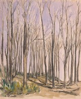 藏品(冬樹)的圖片