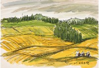 藏品(北海道北見平野)的圖片