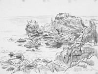 藏品(美國加州卡麥爾海岸)的圖片