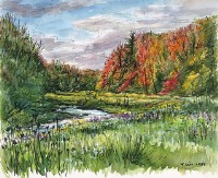 藏品(加拿大多倫多楓林)的圖片