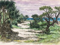 藏品(墾丁海岸)的圖片