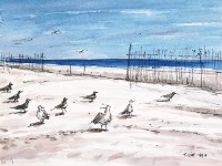 藏品(美國長島海邊)的圖片