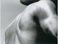 藏品(肩)的圖片