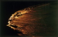 藏品(金海)的圖片