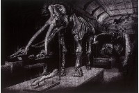 藏品(進場.退場(II))的圖片