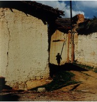 藏品(誰??)的圖片