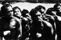 藏品(怒漢)的圖片