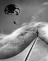 藏品(和平使者)的圖片