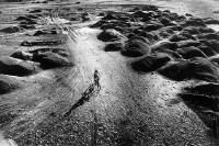 藏品(歸途)的圖片