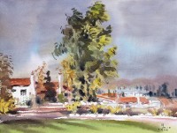 藏品(聖地雅歌)的圖片