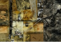 藏品(柴山傳奇)的圖片