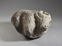 藏品(水牛)的圖片