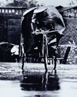 藏品(颱風的那一天)的圖片