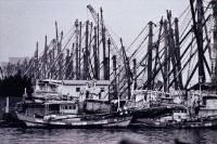 藏品(船桅臨立)的圖片