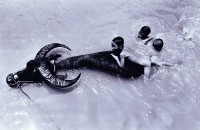 藏品(與牛共舞)的圖片