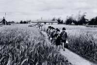 藏品(農村學童)的圖片