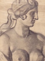 藏品(NO. 50)的圖片