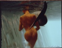 藏品(海豚水舞(一))的圖片