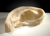 藏品(在我的白色房間裡(之一))的圖片