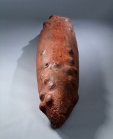 藏品(天筏)的圖片