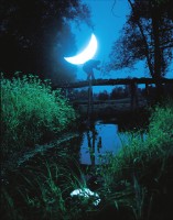 藏品(我的月亮-1)的圖片