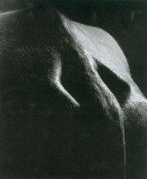 藏品(牛的造型)的圖片