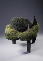 藏品(黃金草原)的圖片