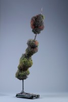 藏品(野趣 No.3)的圖片