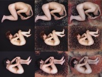 藏品(蛆˙體)的圖片