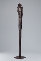 藏品(墟花)的圖片