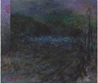 藏品(夜觀寶來)的圖片