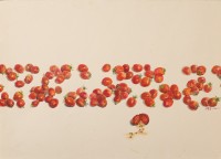 藏品(小蕃茄)的圖片