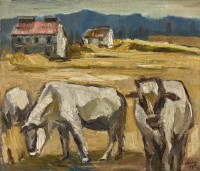 藏品(牧野)的圖片