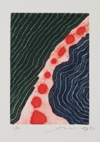 藏品(往永久的花園2)的圖片