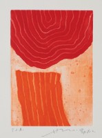 藏品(往永久的花園11)的圖片